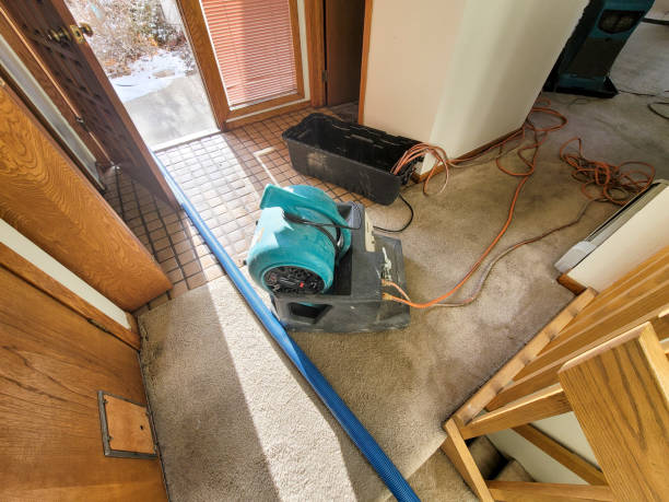 Best Professional water damage repair  in Newport, KY
