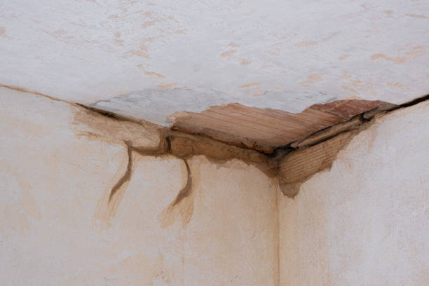 Best Ceiling water damage repair  in Newport, KY