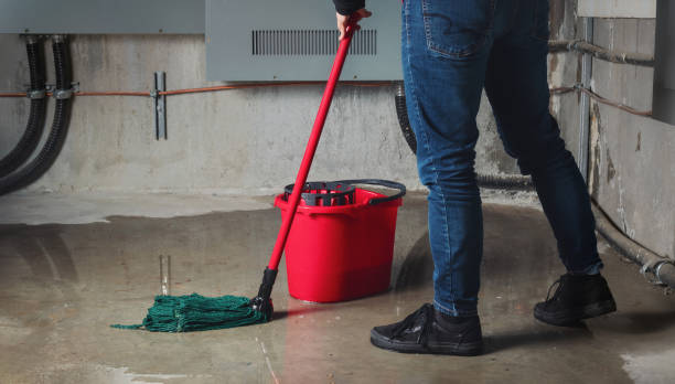 Water damage restoration mold remediation in Newport, KY