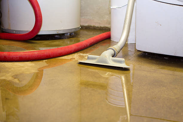 Best Water damage contractors near me  in Newport, KY