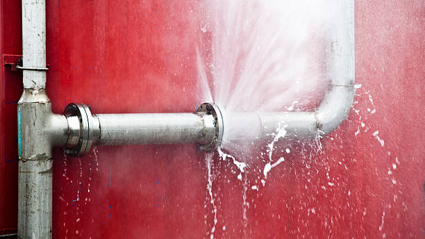 Best Sewage cleanup and water damage restoration  in Newport, KY